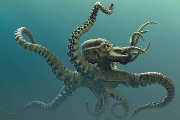 Kraken наркошоп